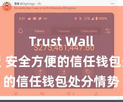 Trust Wallet电脑版 安全方便的信任钱包处分情势