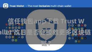 信任钱包app下载 Trust Wallet 改日是否会援救更多区块链？