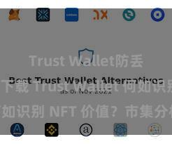 Trust Wallet防丢失版本下载 Trust Wallet 何如识别 NFT 价值？市集分析指南