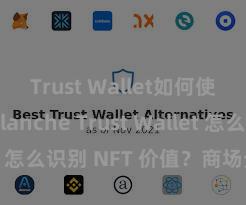 Trust Wallet如何使用Avalanche Trust Wallet 怎么识别 NFT 价值？商场分析指南